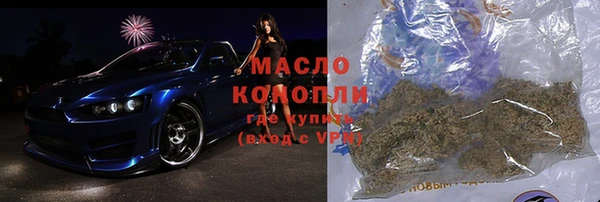индика Абаза