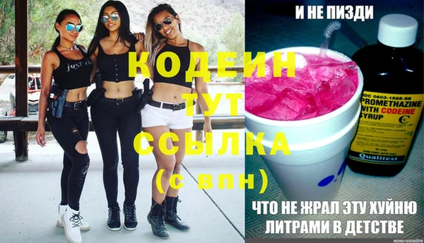 индика Абаза