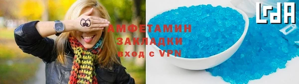индика Абаза