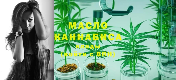 индика Абаза