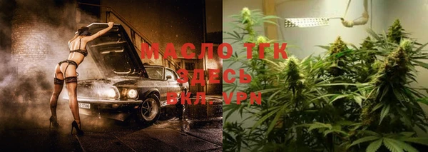 индика Абаза