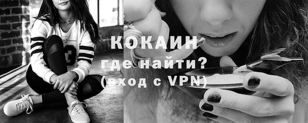 индика Абаза
