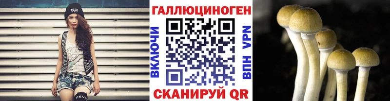 Псилоцибиновые грибы Cubensis  где найти   даркнет Telegram  Кяхта 
